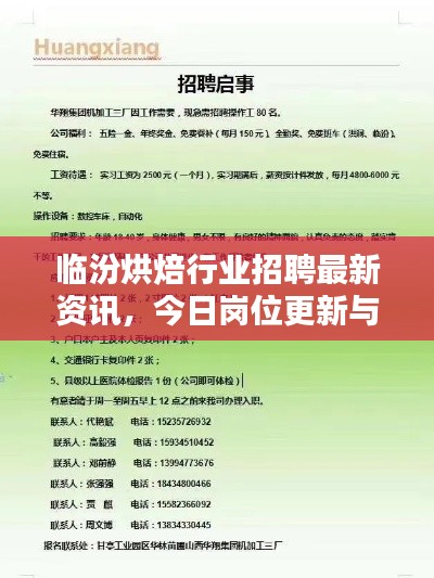 临汾烘焙行业招聘最新资讯，今日岗位更新与动态分析