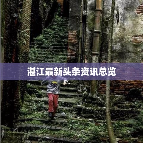 湛江最新头条资讯总览