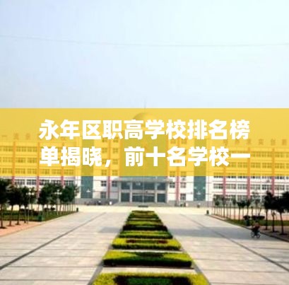 永年区职高学校排名榜单揭晓，前十名学校一览无余！