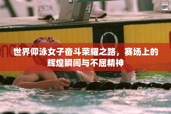 世界仰泳女子奋斗荣耀之路，赛场上的辉煌瞬间与不屈精神