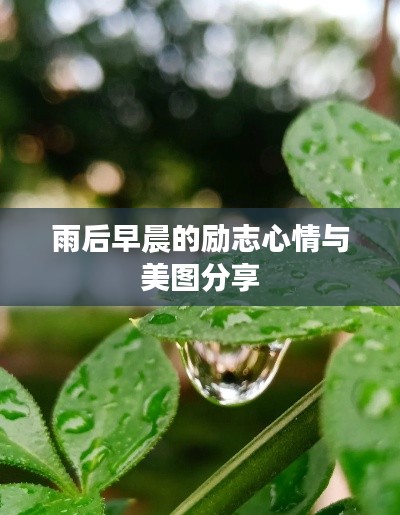 行疾如飞