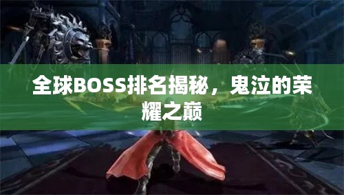 成功案例 第10页