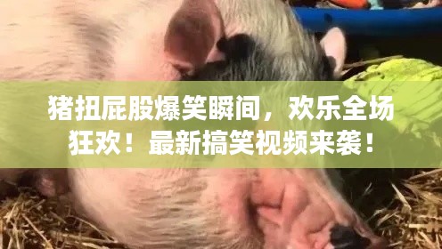 软件定制﻿﻿ 第12页