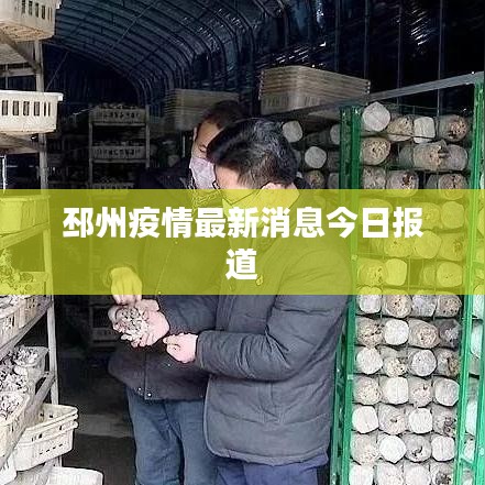 邳州疫情最新消息今日报道