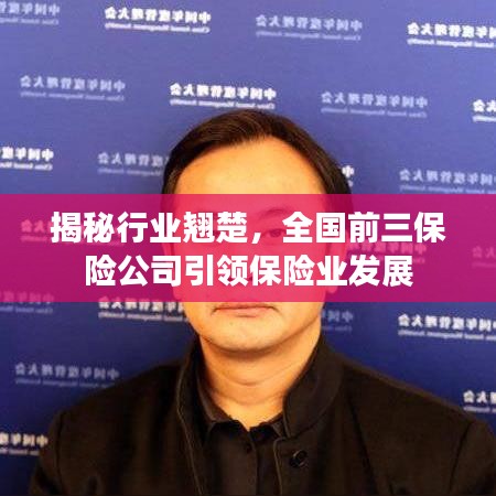揭秘行业翘楚，全国前三保险公司引领保险业发展