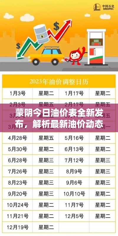 蒙阴今日油价表全新发布，解析最新油价动态及图片资讯