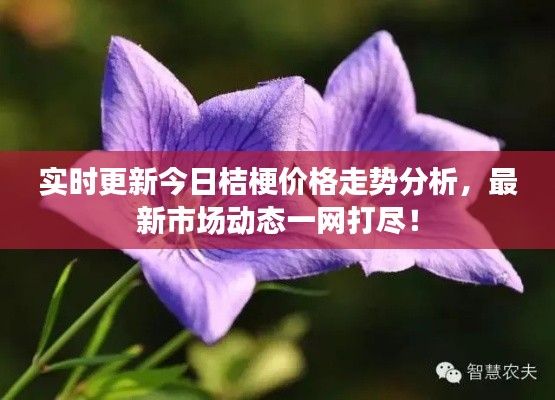 艰苦朴素