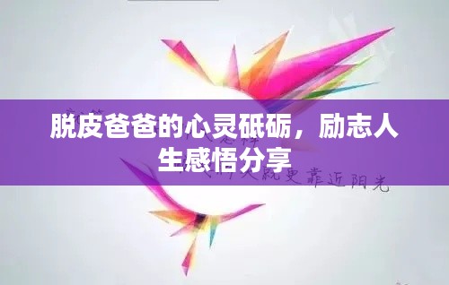 成功案例 第8页