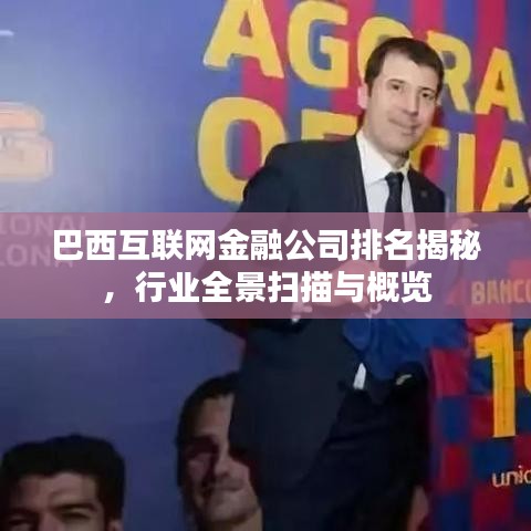 巴西互联网金融公司排名揭秘，行业全景扫描与概览
