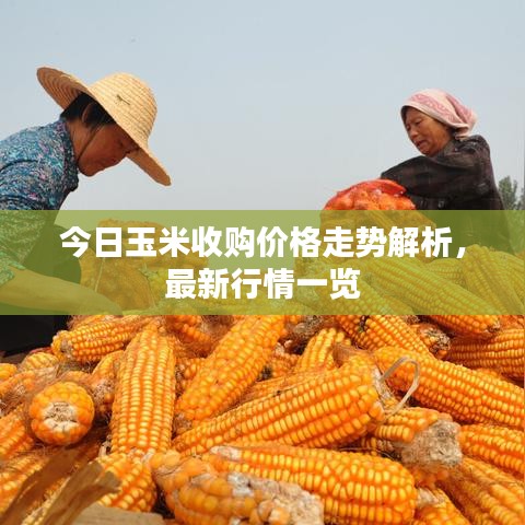 软件定制﻿﻿ 第9页