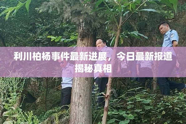 免责声明 第8页