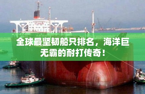 全球最坚韧船只排名，海洋巨无霸的耐打传奇！