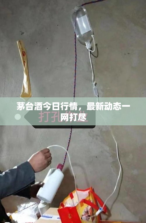 茅台酒今日行情，最新动态一网打尽