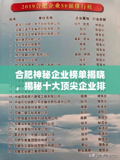 合肥神秘企业榜单揭晓，揭秘十大顶尖企业排名