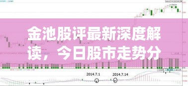 金池股评最新深度解读，今日股市走势分析
