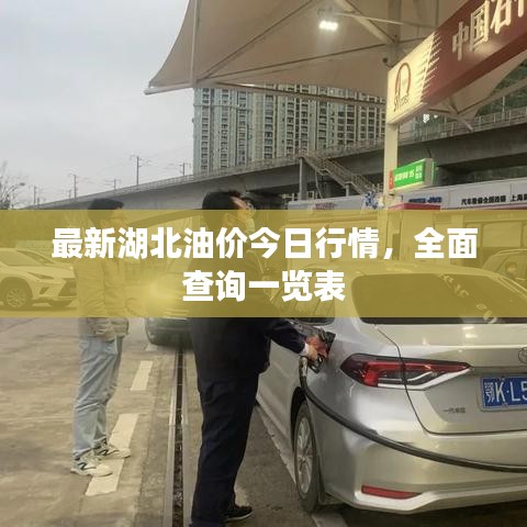 最新湖北油价今日行情，全面查询一览表