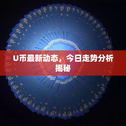 U币最新动态，今日走势分析揭秘
