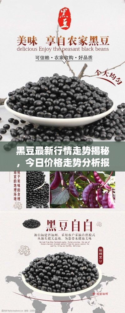 软件定制﻿﻿ 第6页