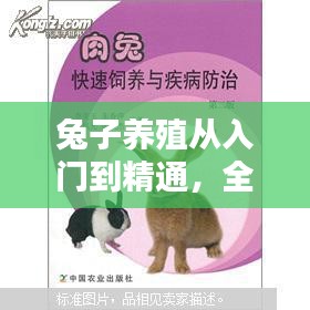 冰清玉洁