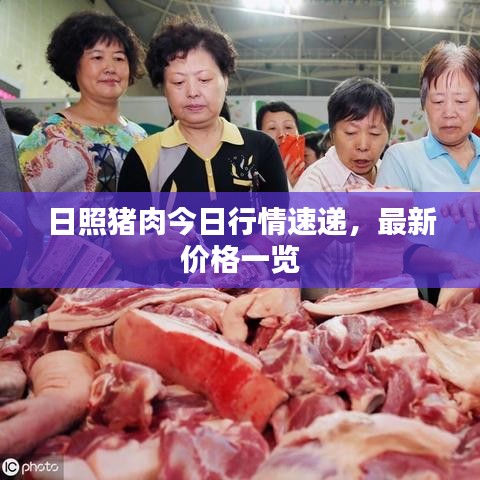 日照猪肉今日行情速递，最新价格一览