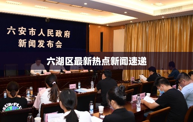 六湖区最新热点新闻速递