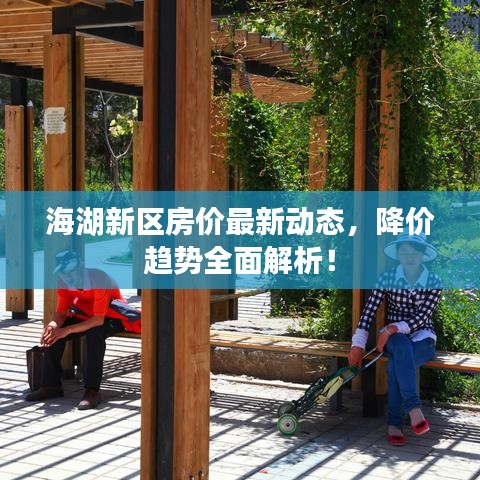 海湖新区房价最新动态，降价趋势全面解析！