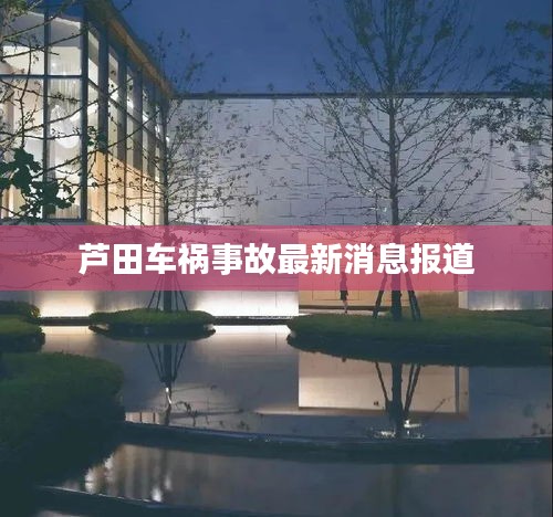 2025年4月 第6页