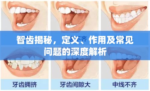 智齿揭秘，定义、作用及常见问题的深度解析