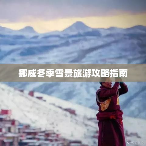 成功案例 第3页