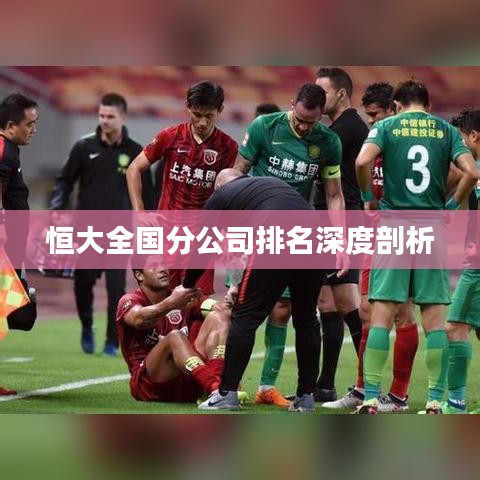 恒大全国分公司排名深度剖析