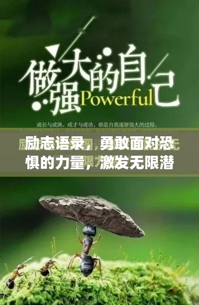 免责声明 第3页