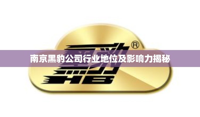 南京黑豹公司行业地位及影响力揭秘
