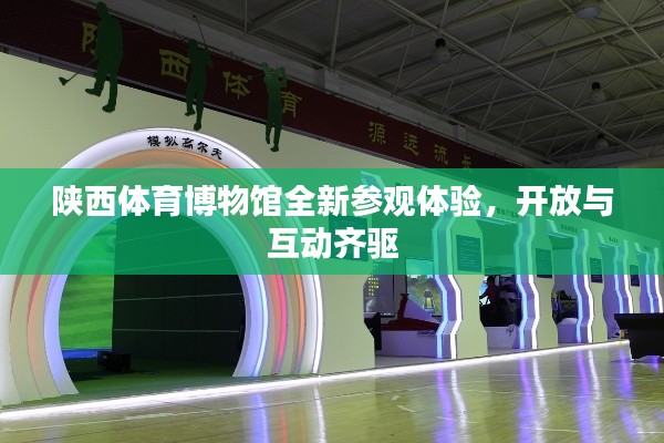 陕西体育博物馆全新参观体验，开放与互动齐驱
