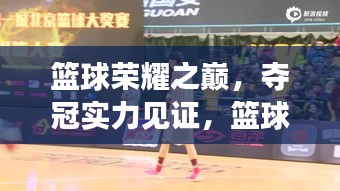 篮球荣耀之巅，夺冠实力见证，篮球排名前十强震撼来袭！