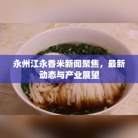 永州江永香米新闻聚焦，最新动态与产业展望