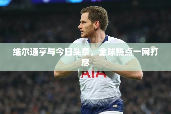 维尔通亨与今日头条，全球热点一网打尽