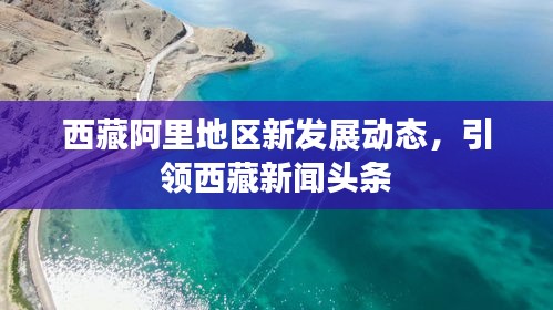 西藏阿里地区新发展动态，引领西藏新闻头条