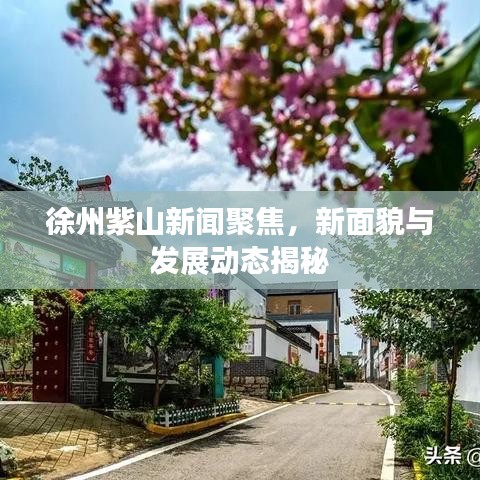 徐州紫山新闻聚焦，新面貌与发展动态揭秘