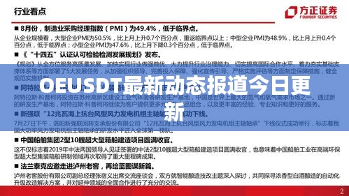 OEUSDT最新动态报道今日更新