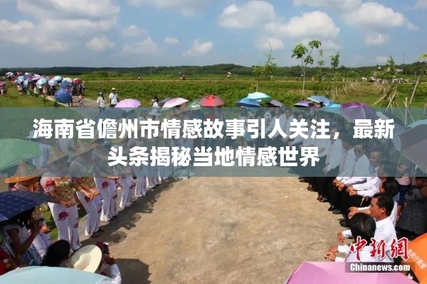 海南省儋州市情感故事引人关注，最新头条揭秘当地情感世界