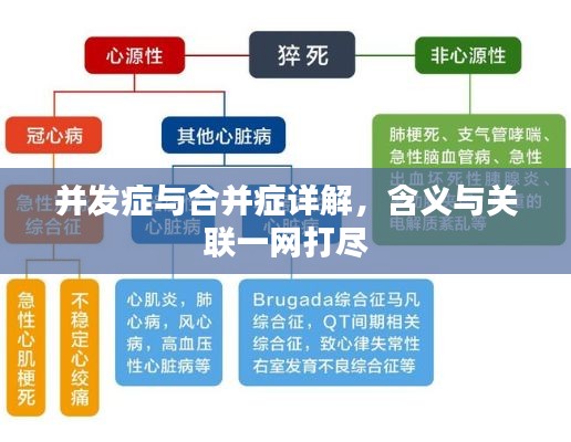 并发症与合并症详解，含义与关联一网打尽