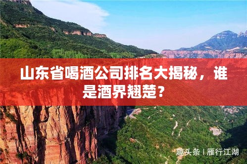 山东省喝酒公司排名大揭秘，谁是酒界翘楚？