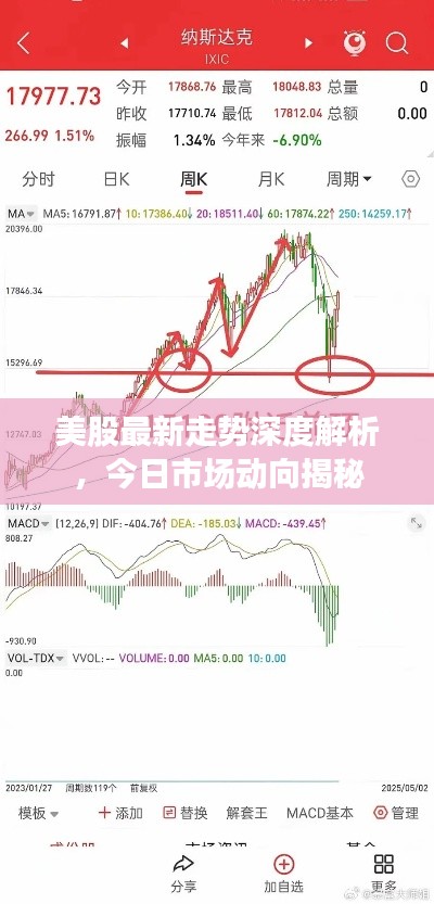 美股最新走势深度解析，今日市场动向揭秘