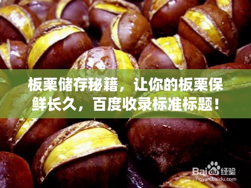 板栗储存秘籍，让你的板栗保鲜长久，百度收录标准标题！
