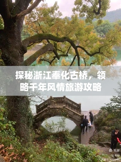 探秘浙江奉化古桥，领略千年风情旅游攻略