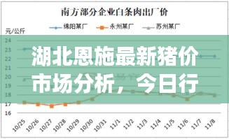 湖北恩施最新猪价市场分析，今日行情走势揭秘