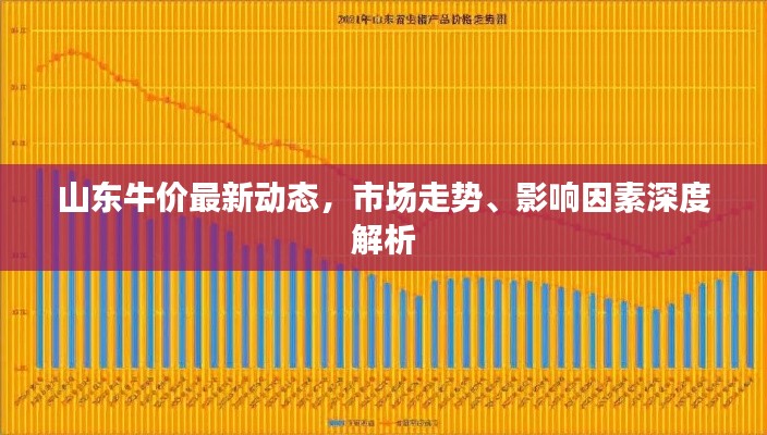 山东牛价最新动态，市场走势、影响因素深度解析