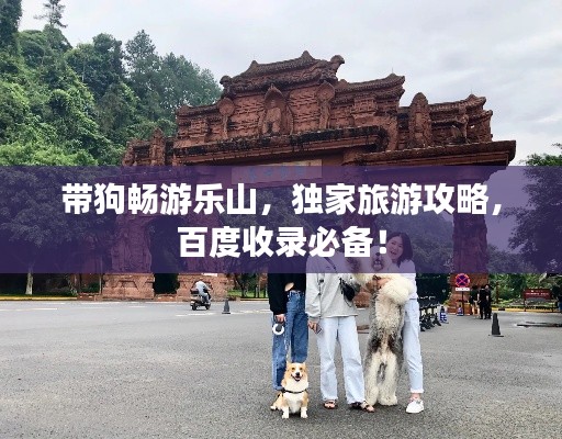 带狗畅游乐山，独家旅游攻略，百度收录必备！