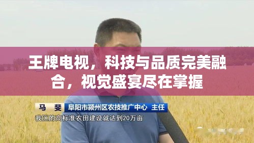 王牌电视，科技与品质完美融合，视觉盛宴尽在掌握