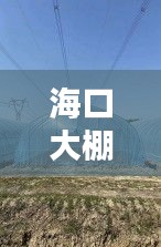 海口大棚微喷灌公司权威排名榜单揭晓！